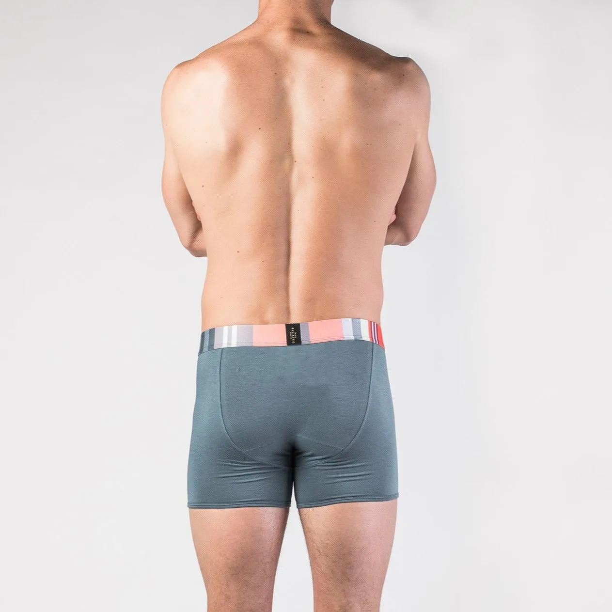 The Shield Boxer Brief